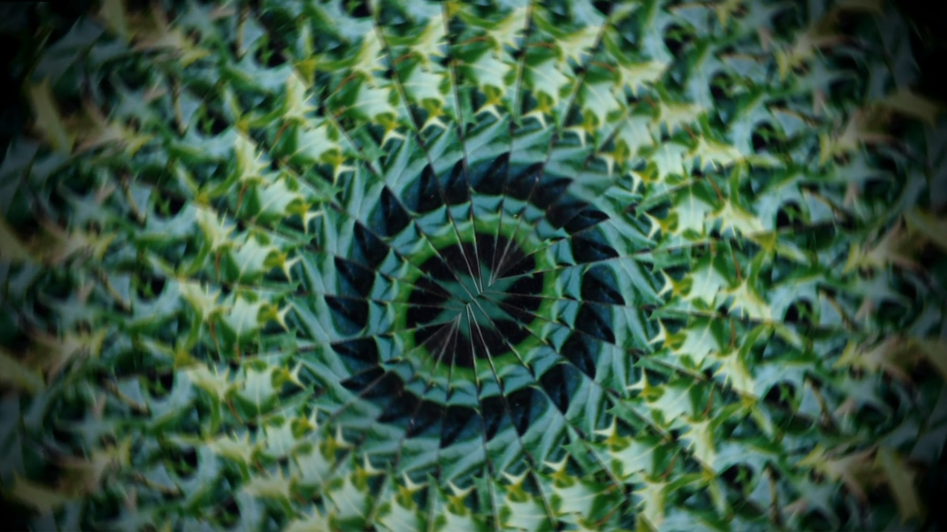 Photosynthèse / Julie Aubourg
